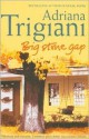 Big Stone Gap - Adriana Trigiani