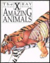 The X-Ray Picture Book of Amazing Animals - Gerald Legg, David Salariya