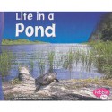 Life in a Pond - Carol K. Lindeen, Gail Saunders-Smith, Sandra Mather