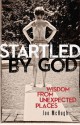 Startled by God: Wisdom from Unexpected Places - Joe McHugh, Michael Joncas