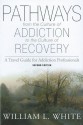 Pathways from the Culture of Addiction to the Culture of Recovery: A Travel Guide for Addiction Professionals - William L. White