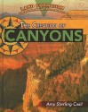 The Creation of Canyons - Amy Sterling Casil