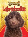 Labradoodles - Ruth Owen