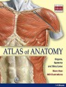 Atlas of Anatomy - H. F. Ullman