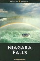 Niagara Falls - Darwin Wiggett