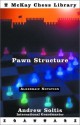 Pawn Structure Chess - Andy Soltis