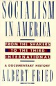 Socialism in America from the Shakers to the Third International: A Documentary History - Albert Fried