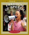 Freedom of Speech - Christin Ditchfield