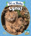 It's a Baby Lynx! - Kelly Doudna