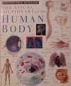 The Visual Dictionary Of The Human Body - Mary Lindsay, Peter Chadwick, Geoff Dann, Dave King