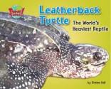 Leatherback Turtle: The World's Heaviest Reptile - Kirsten Hall