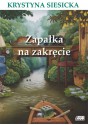 Zapałka na zakręcie - Krystyna Siesicka