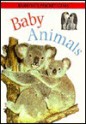 Baby Animals - Louisa Somerville