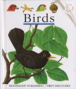 Birds - René Mettler, Gallimard Jeunesse