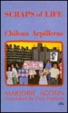 Scraps of Life: Chilean Arpilleras: Chilean Women and the Pinochet Dictatorship - Cola Franzen