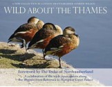 Wild about the Thames: A Celebration of the Open Spaces Along the Thames from Battersea to Hampton Court - Andrew Wilson, Jeremy Wilson