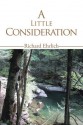 A Little Consideration - Richard Ehrlich