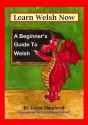 Learn Welsh Now: A Beginner's Guide to Everyday Welsh - Jason Shepherd