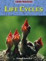 Life Cycles - Richard Spilsbury, Louise Spilsbury, Carol Ballard