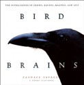 Bird Brains: The Intelligence of Crows, Ravens, Magpies, and Jays - Candace Savage