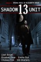 Shadow Unit 13 (Shadow Unit, #13) - Emma Bull, Elizabeth Bear, Leah Bobet, Will Shatterly, Chelsea Polk