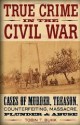 True Crime in the Civil War: Cases of Murder, Treason, Counterfeiting, Massacre, Plunder & Abuse - Tobin T. Buhk