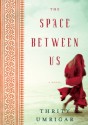 The Space Between Us - Thrity Umrigar