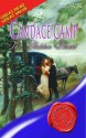 The Hidden Heart (Super Historical Romance) - Candace Camp