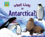 What Lives in Antarctica? - Oona Gaarder-juntti