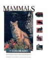 Mammals of Colorado - James P. Fitzgerald, Carron A. Meaney