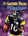 Santonio Holmes and the Pittsburgh Steelers: Super Bowl XLIII - Michael Sandler