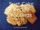 Suet Cake Recipe For Birds - Tanya Provines