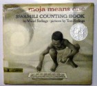 Moja Means One Sawhili Counting Book - Feelings, Fellings