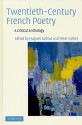 Twentieth-Century French Poetry: A Critical Anthology - Hugues Azerad, Peter Collier