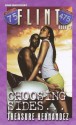 Flint: Book 1: Choosing Sides - Treasure Hernandez