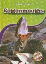 Cottonmouths (Blastoff! Readers: Snakes Alive) - Colleen Sexton