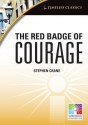 Red Badge of Courage Iwb: Timeless Classics - Saddleback Interactive