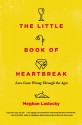 The Little Book of Heartbreak: Love Gone Wrong Through the Ages - Meghan Laslocky