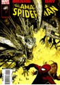 Amazing Spider-Man Vol 1# 557 - Brand New Day: Dead of Winter - Zeb Wells, Chris Bachalo