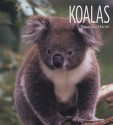 Koalas - Rachael Hanel