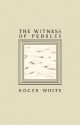 The Witness of Pebbles - Roger White