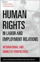 Human Rights in Labor and Employment Relations: International and Domestic Perspectives - James A. Gross, Lance Compa