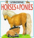 Horses and Ponies (Board Book) - Lucy Smith