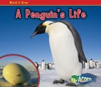 A Penguin's Life - Nancy Dickmann