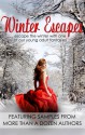 Winter Escapes (Young Adult Fantasy Ebook Sampler) - Anna Kyss, Jeroen Steenbeeke, Abigail Boyd, T. S. Welti, Danielle Kazemi, David Alastair Hayden, Shana Norris, V. J. Chambers, Emily Ann Ward, Katherine Pine