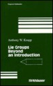 Lie Groups Beyond an Introduction - Anthony W. Knapp