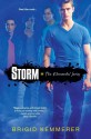 Storm (Elementals, #1) - Brigid Kemmerer