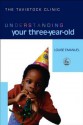 Understanding Your Three-Year-Old - Louise Emanuel