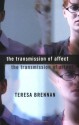 The Transmission of Affect - Teresa Brennan