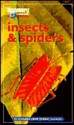 Discovery Channel: Insects & Spiders: An Explore Your World Handbook - David J. Lewis, Paula E. Cushing